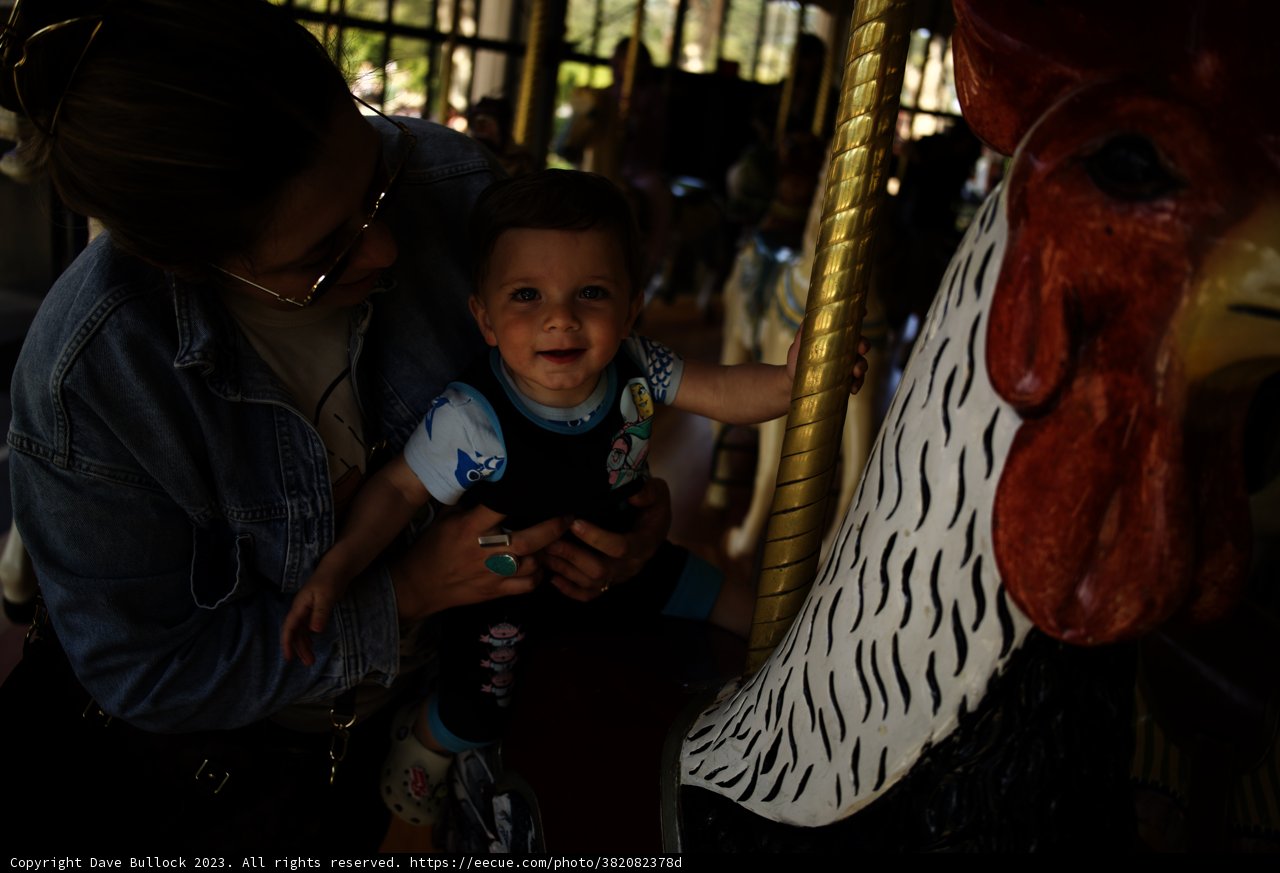 Golden Carousel Moments: Mother & Child