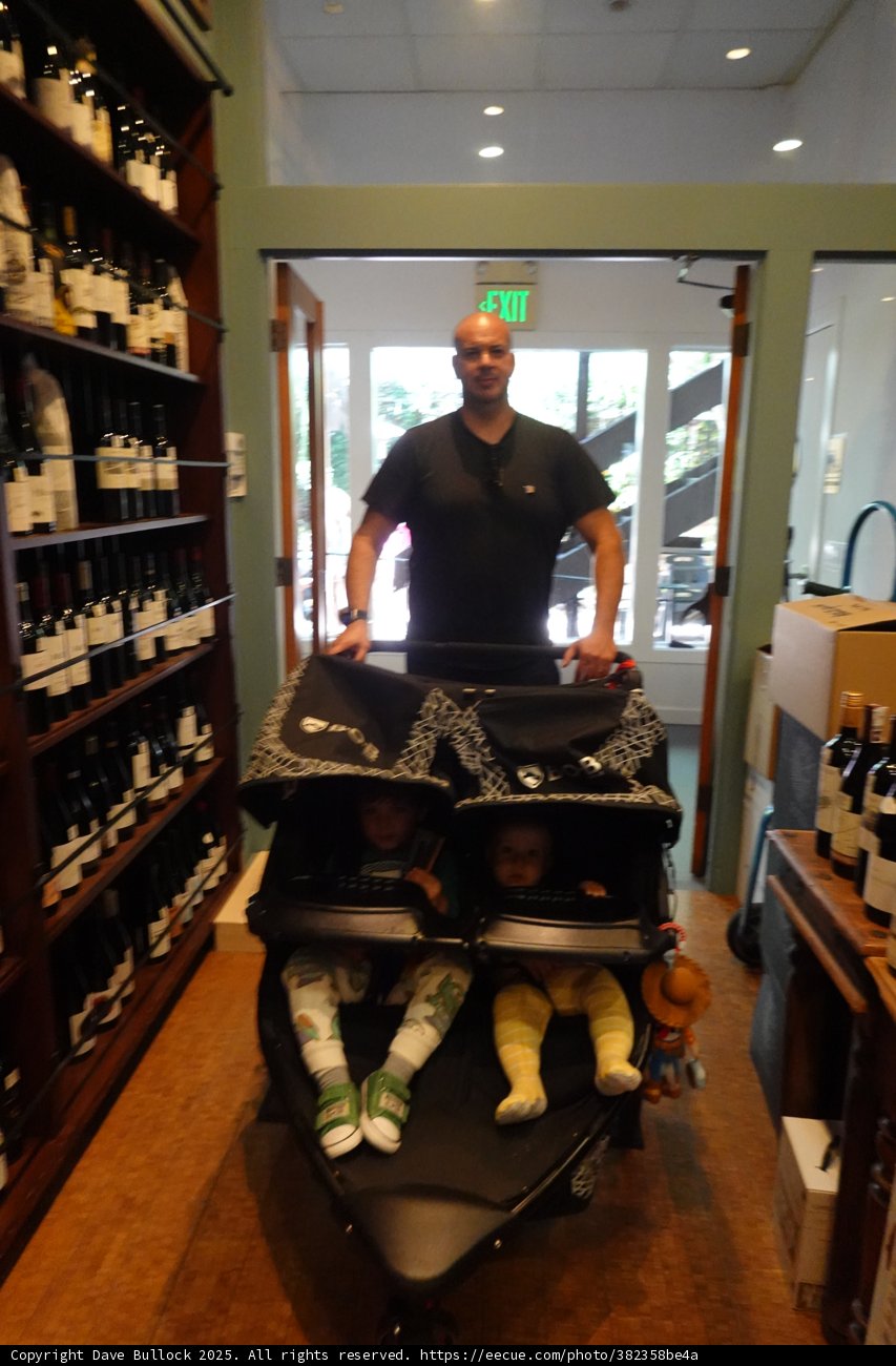 A Day at the Cellar