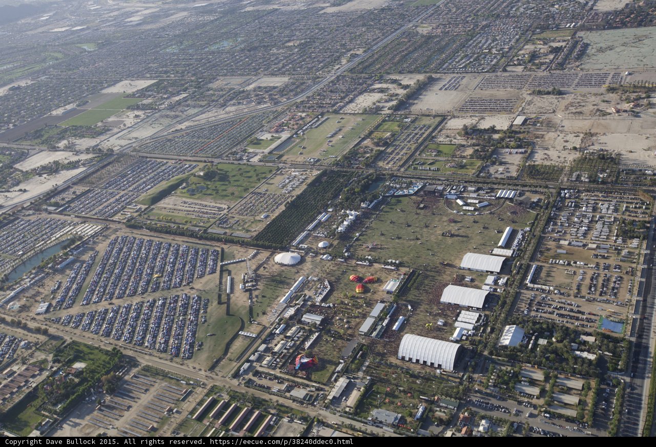 Skyline of the Urban Jungle