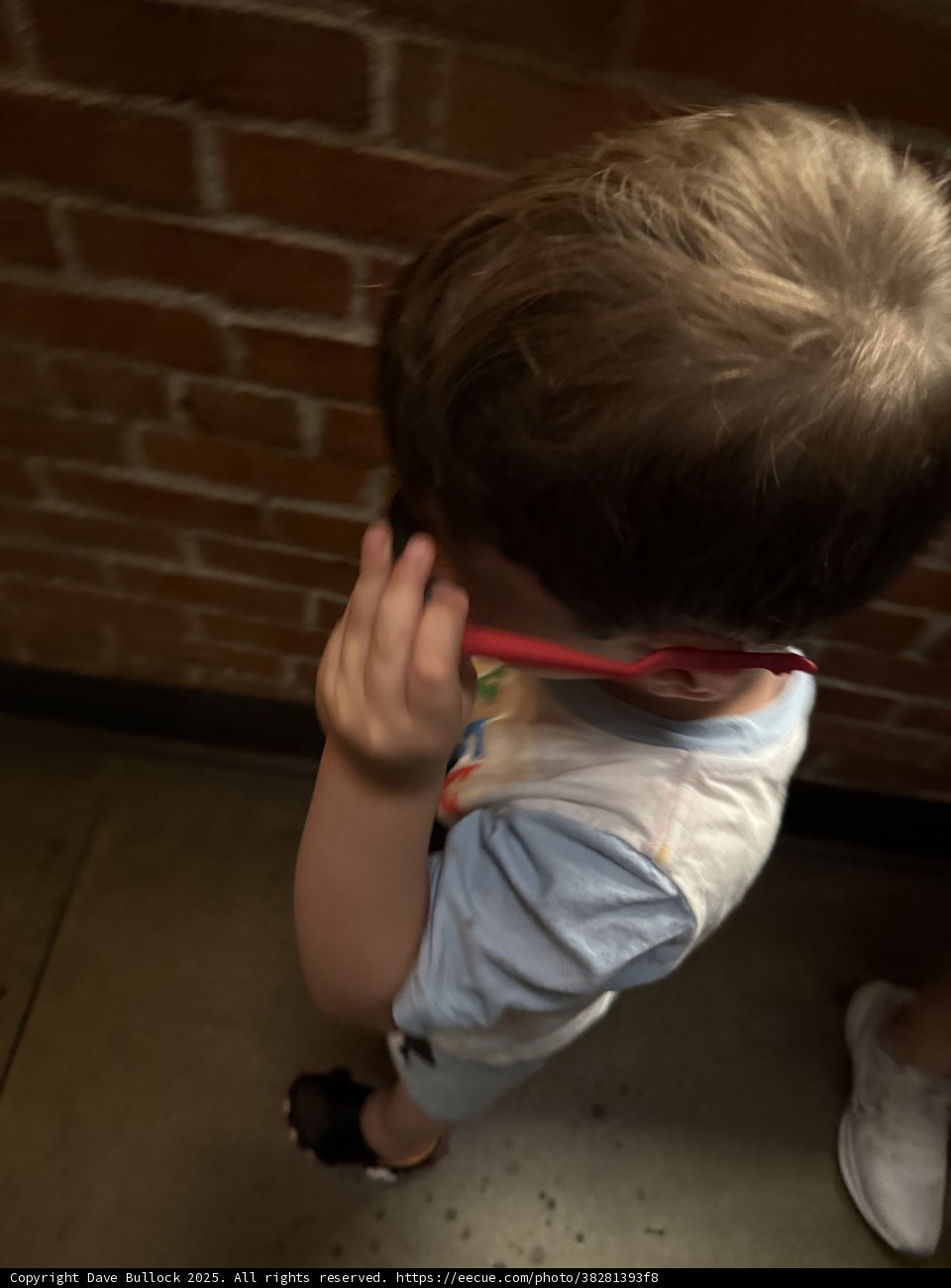 Little Adventurer at Disney