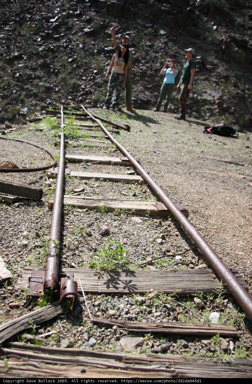 Tracks of Our Past