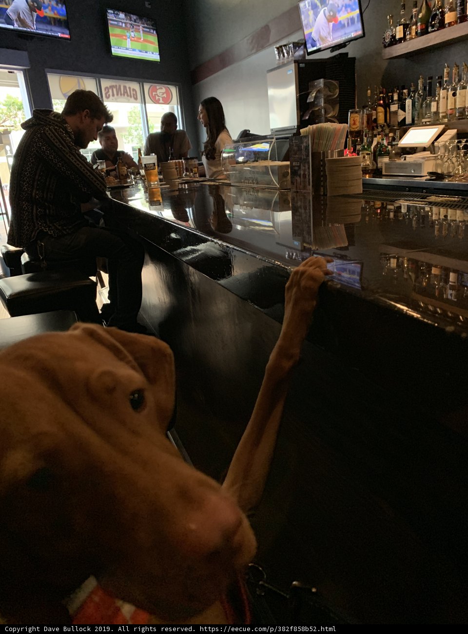 Bartender's Best Friend