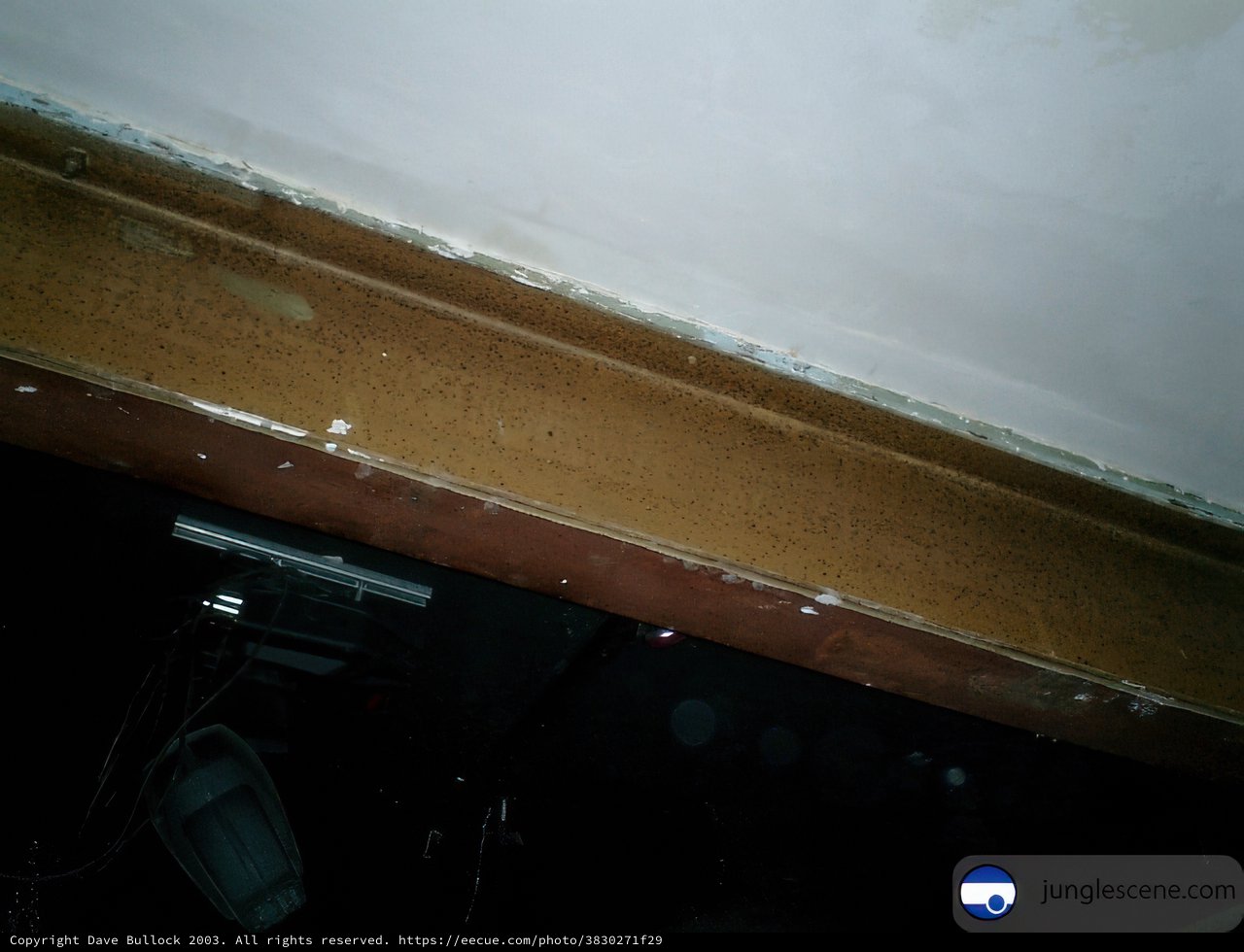 The Damaged Ceiling