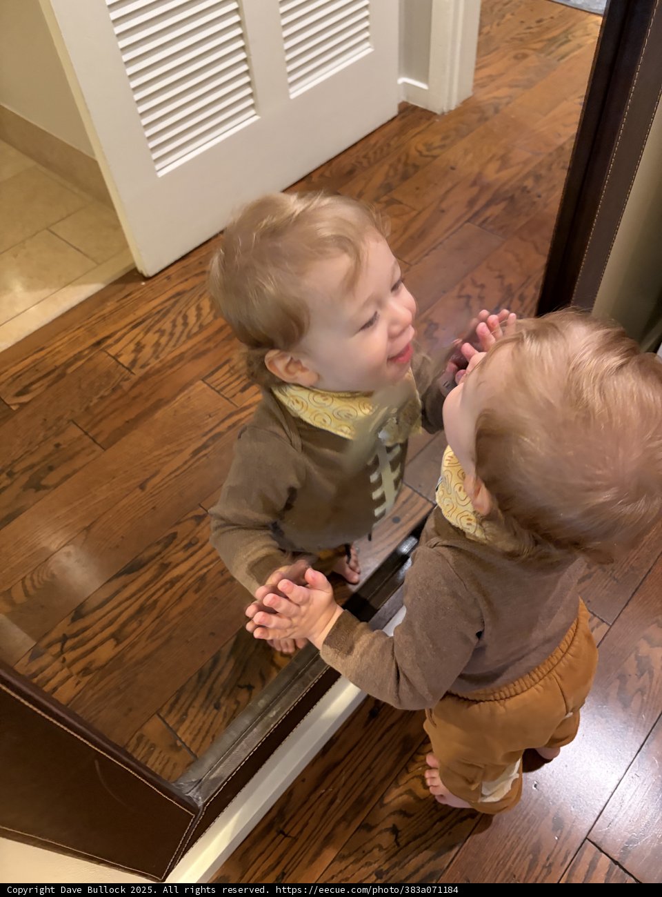 Double Trouble in Reflection