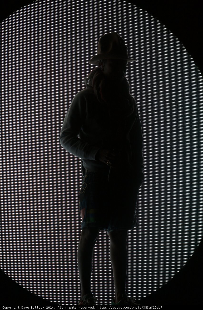 Silhouette in the Sun Hat