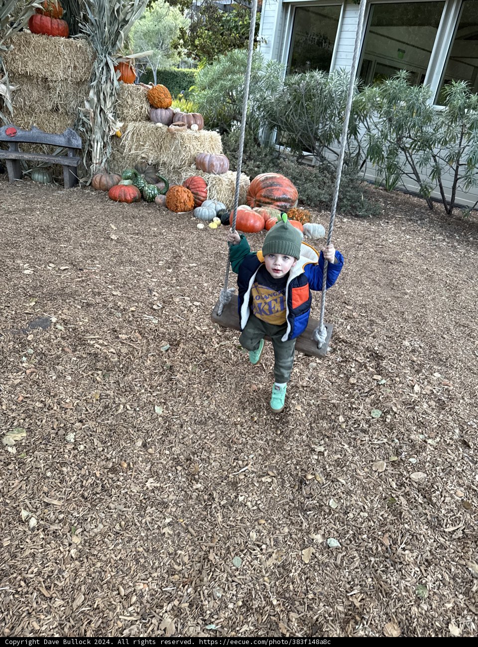 Autumn Adventures in Carmel
