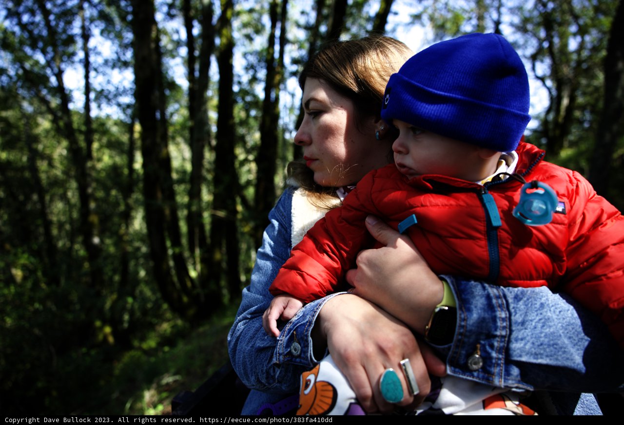 A Beautiful Moment in Tilden Park