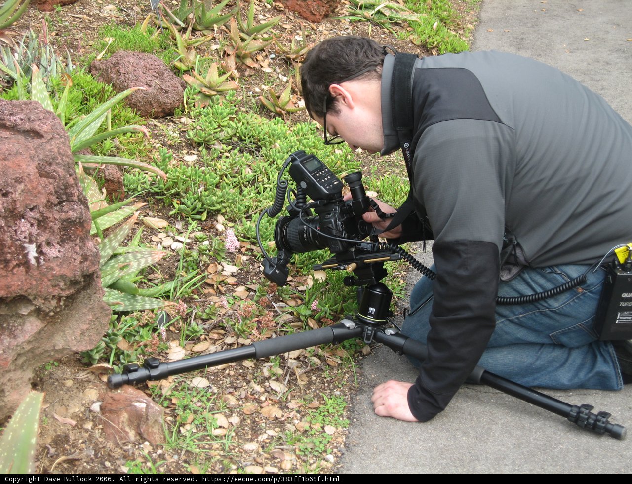 Capturing the Moment