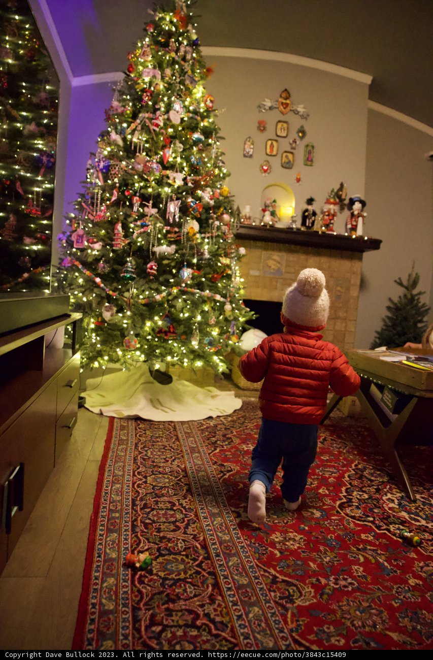 Wesley's First Encounter with a Christmas Tradition, 2023