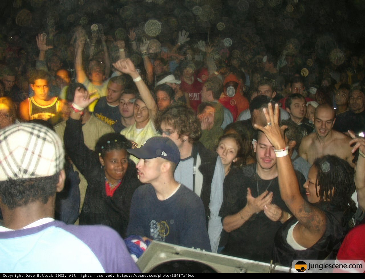 Summer Nightclub Concert Crowd