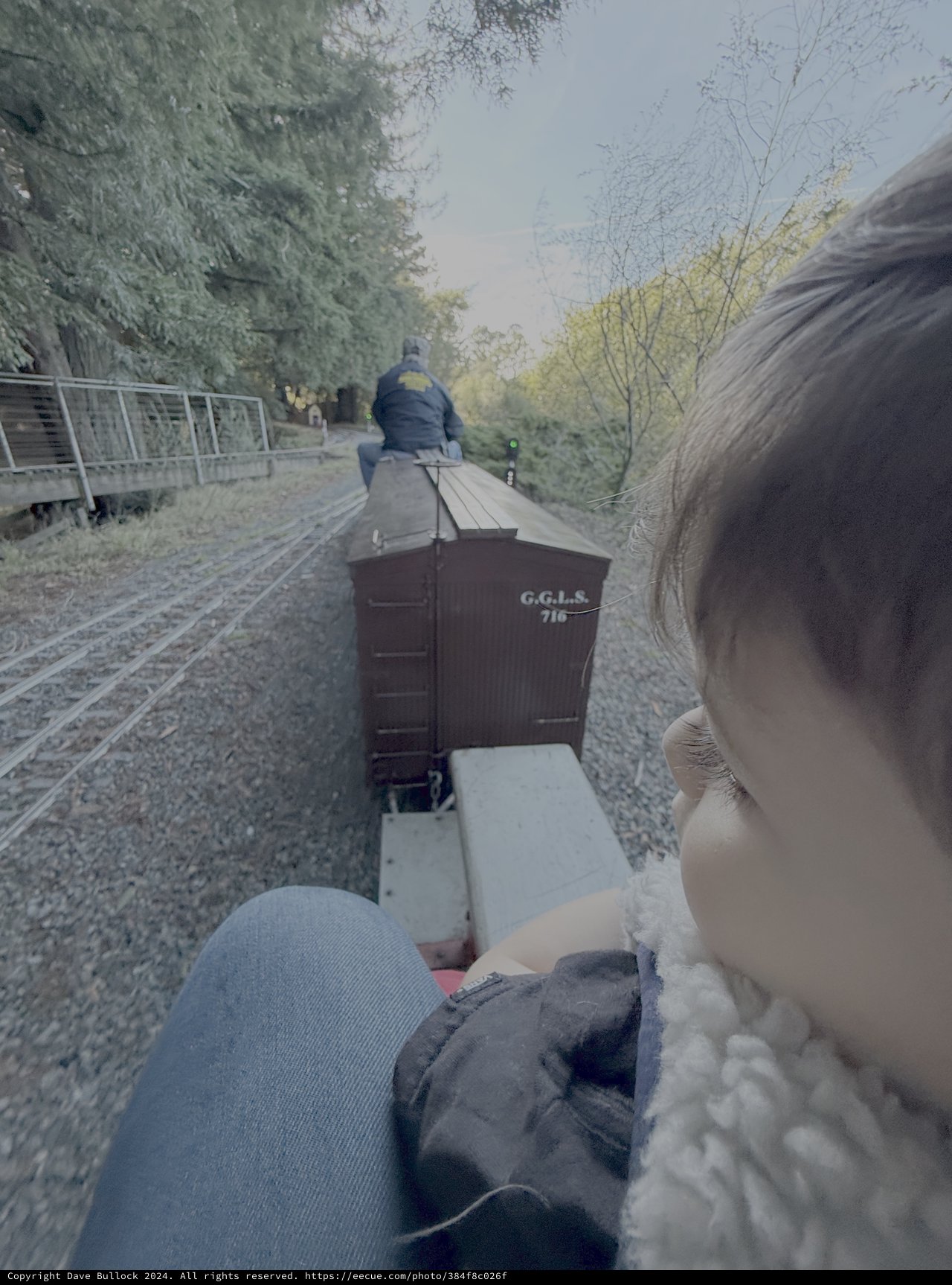 Heritage Railway Journey Through Autumn Forest