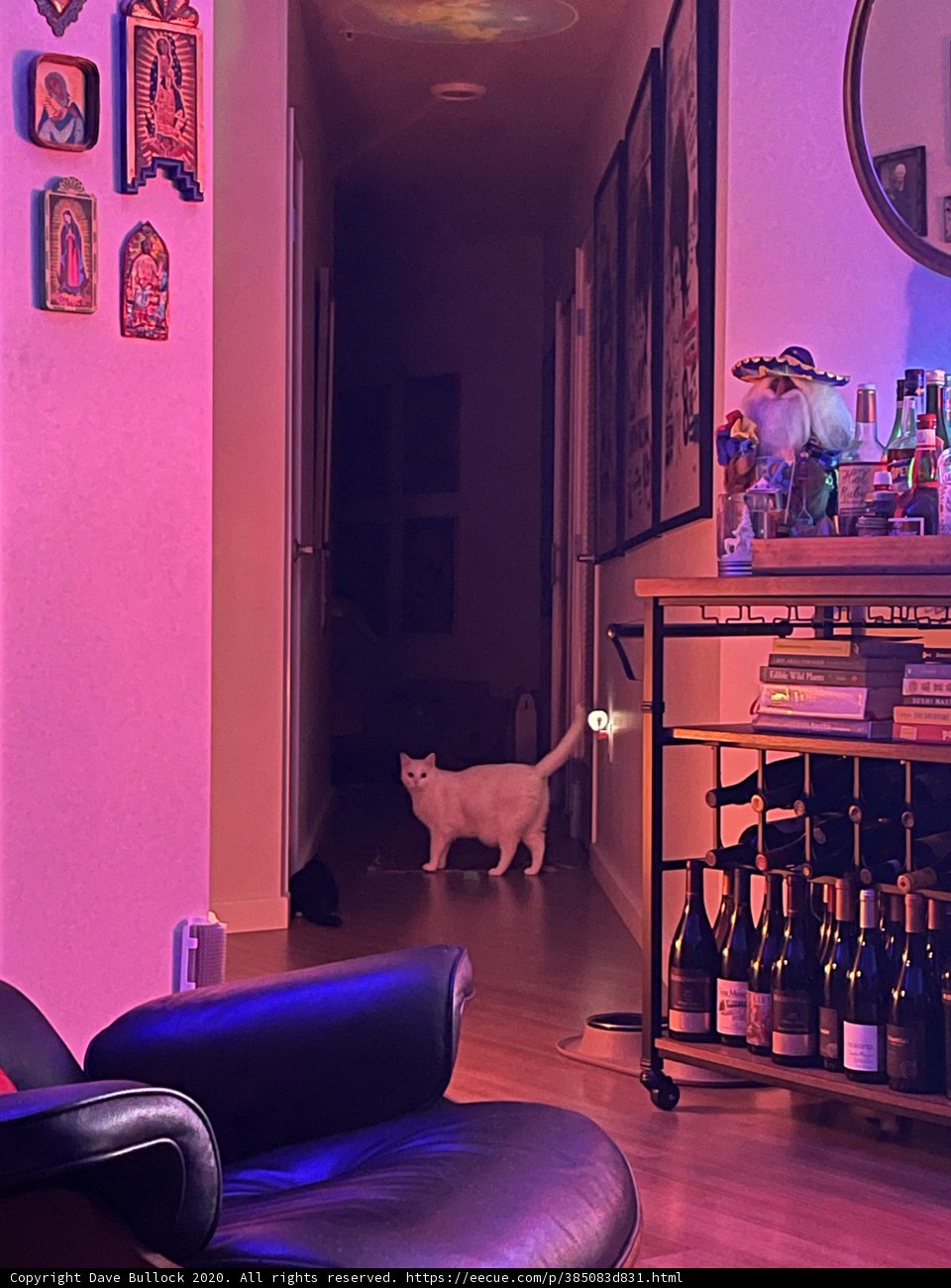 A Cozy Evening in San Francisco