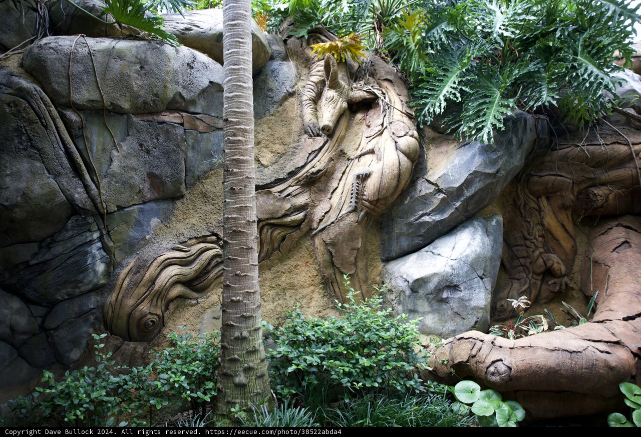 Wild Heart of Disneyworld's Animal Kingdom