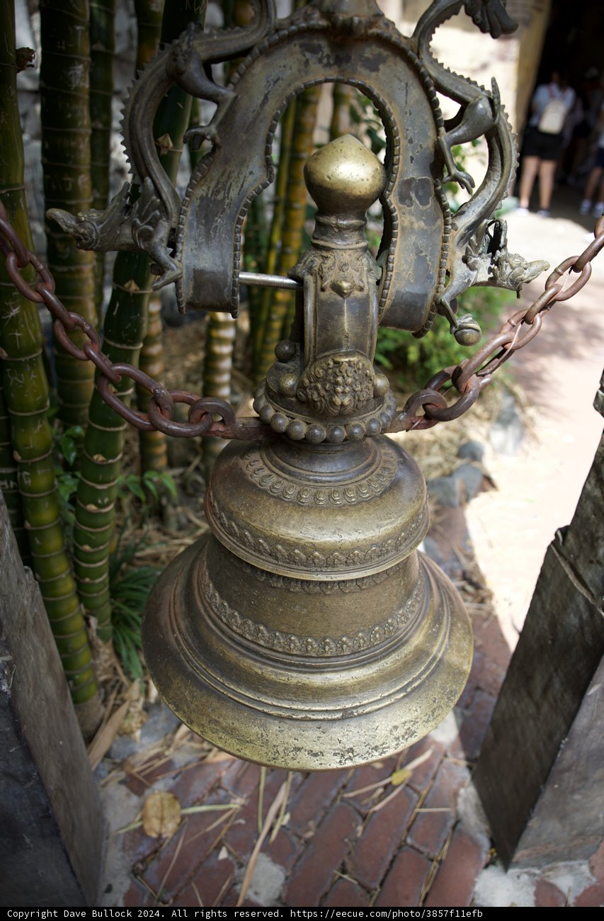 Enchanting Timepiece at Disneyworld's Animal Kingdom, 2024