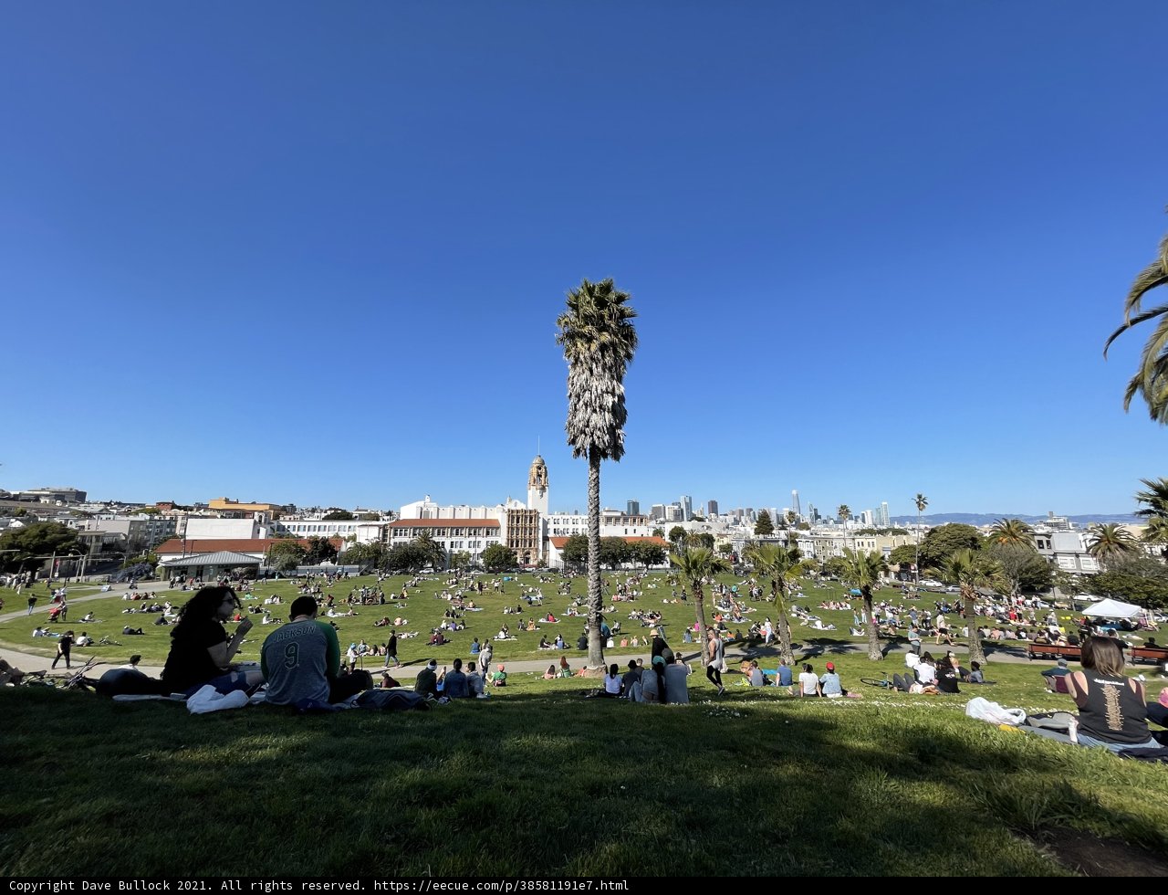 Urban Oasis