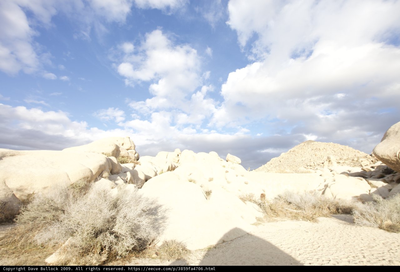 Desert Landscape with Rocks and Shrubs