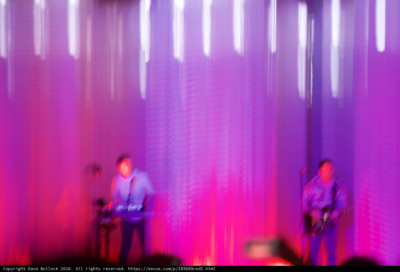 Purple Haze Performance