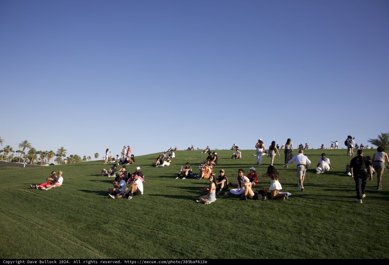 Chilled Vibes at Coachella 2024: A Sunny Afternoon on the Green