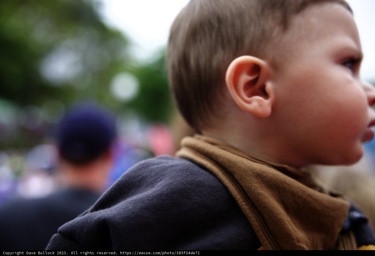 A Day at Disneyland with Little Adventurer