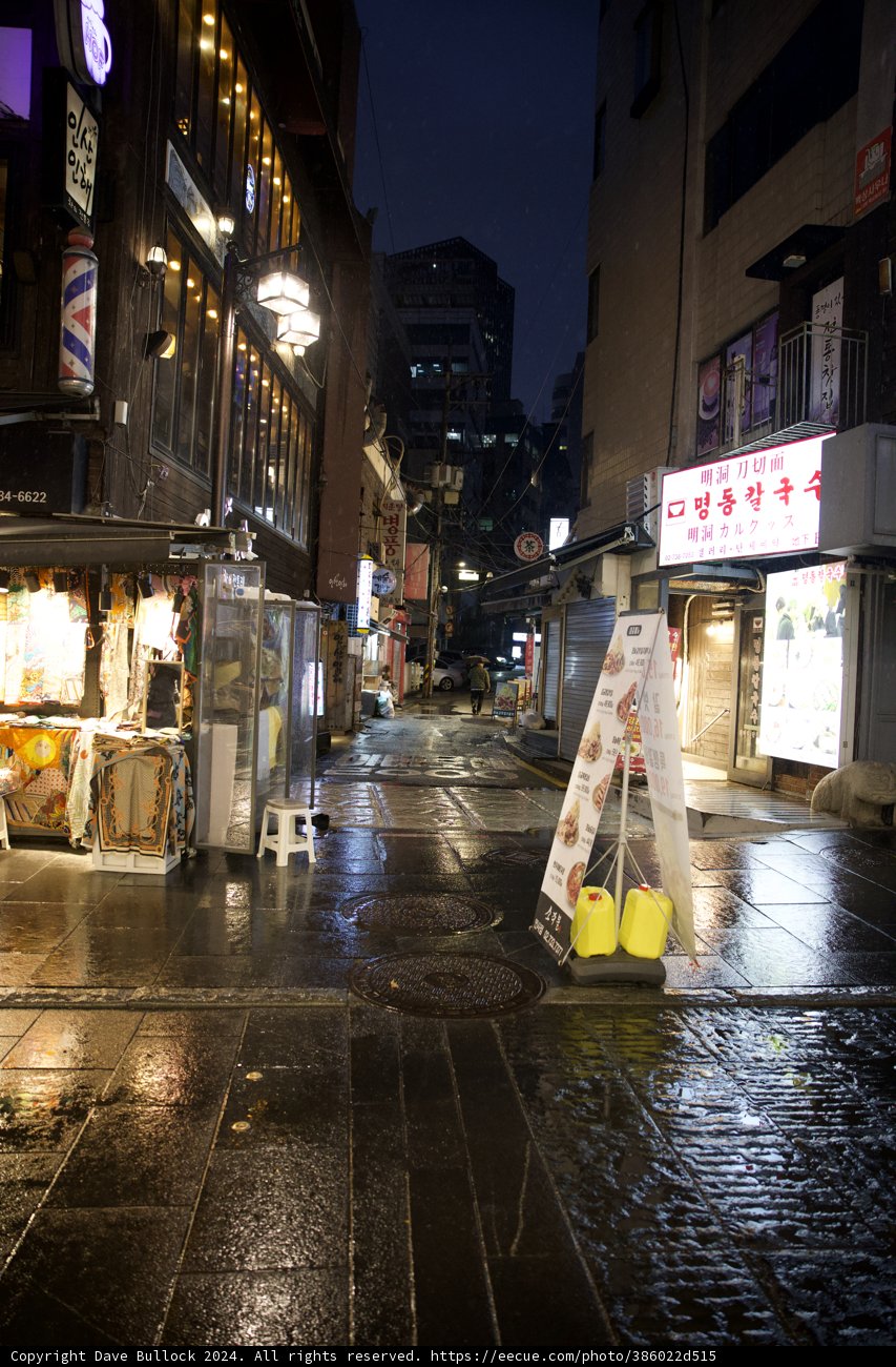 Midnight Musings in an Urban Oasis