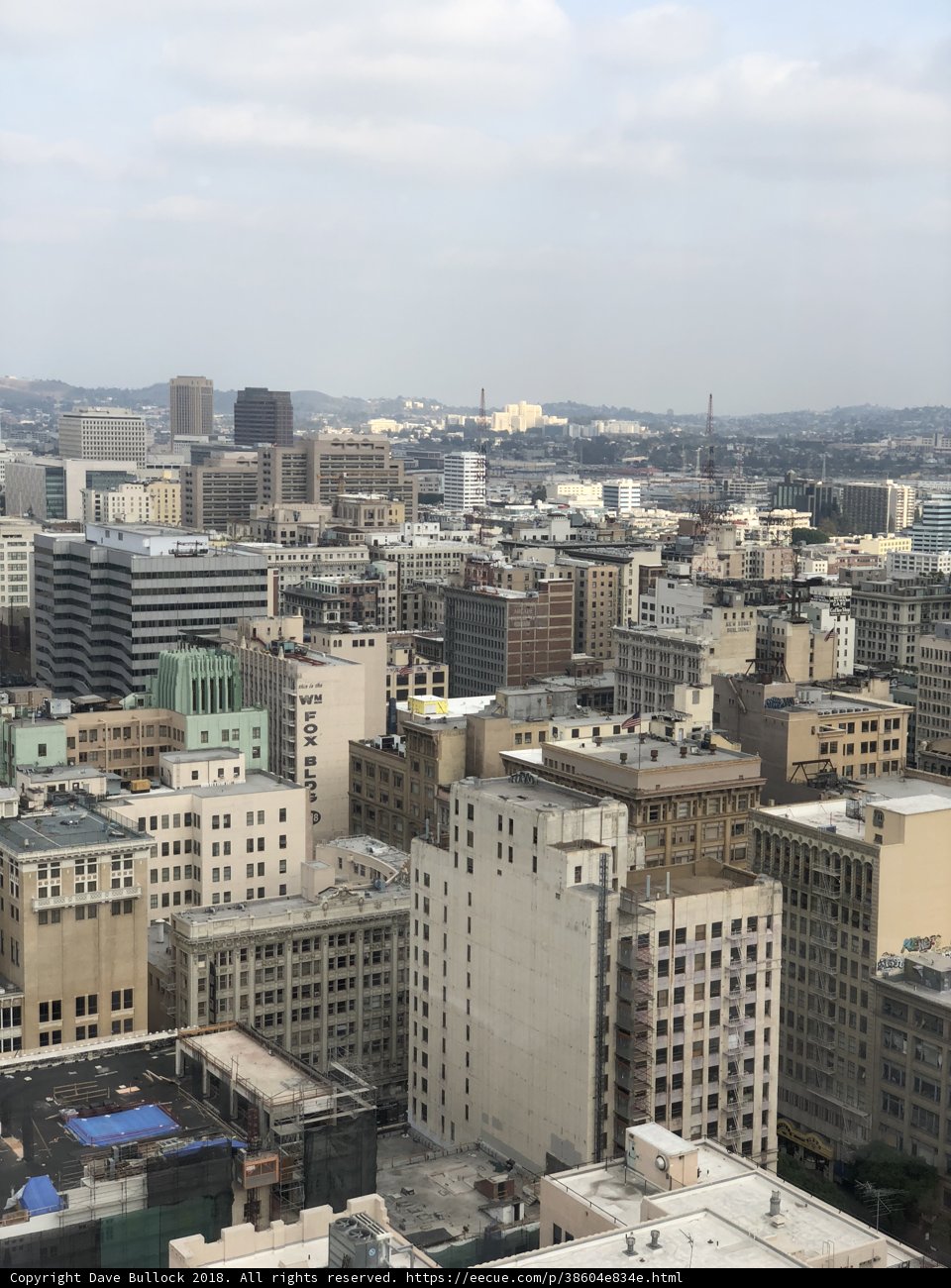 Overlooking the Urban Jungle