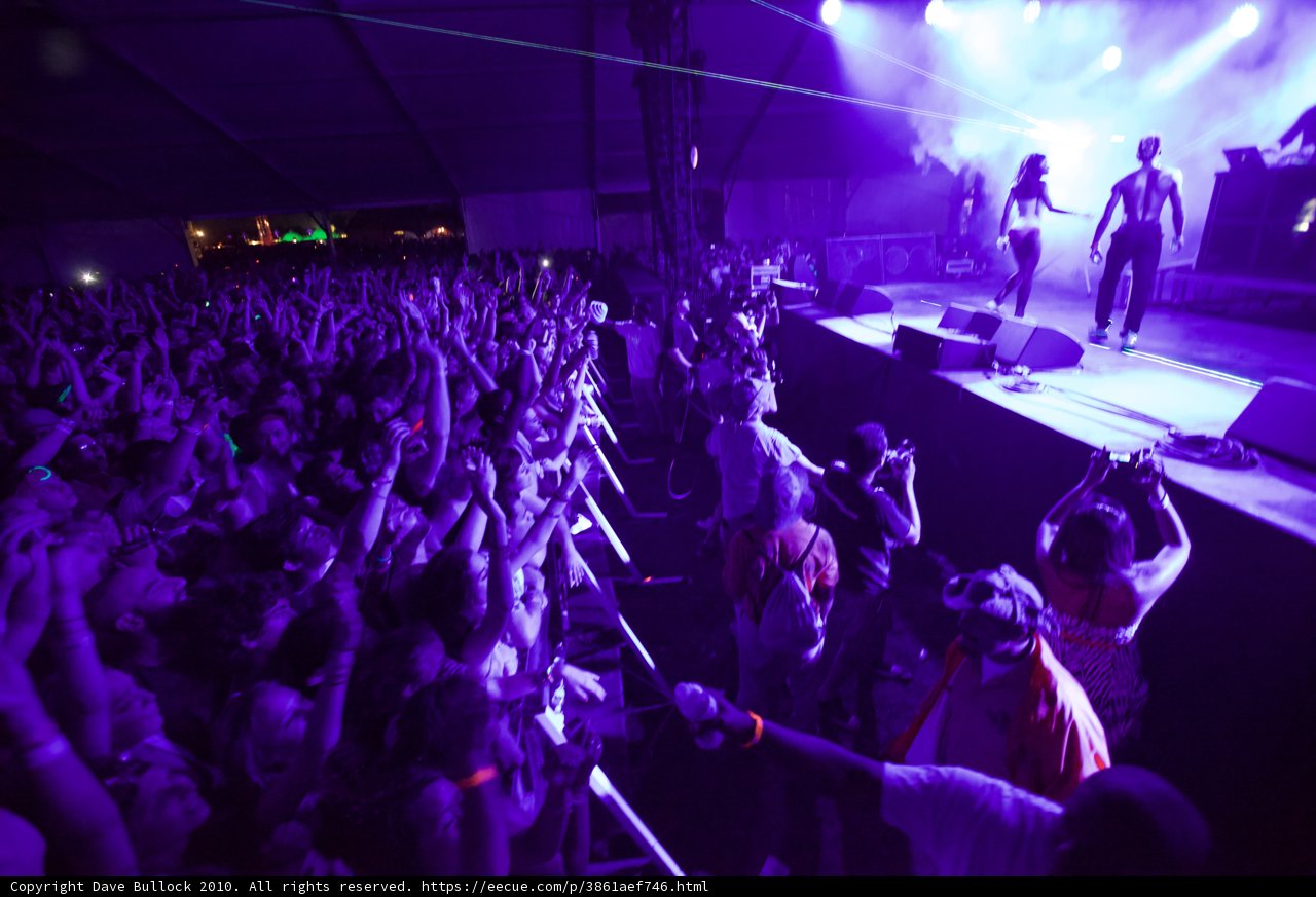 Purple Haze