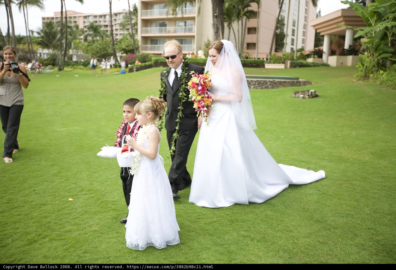 Family Ties: A Wedding for All