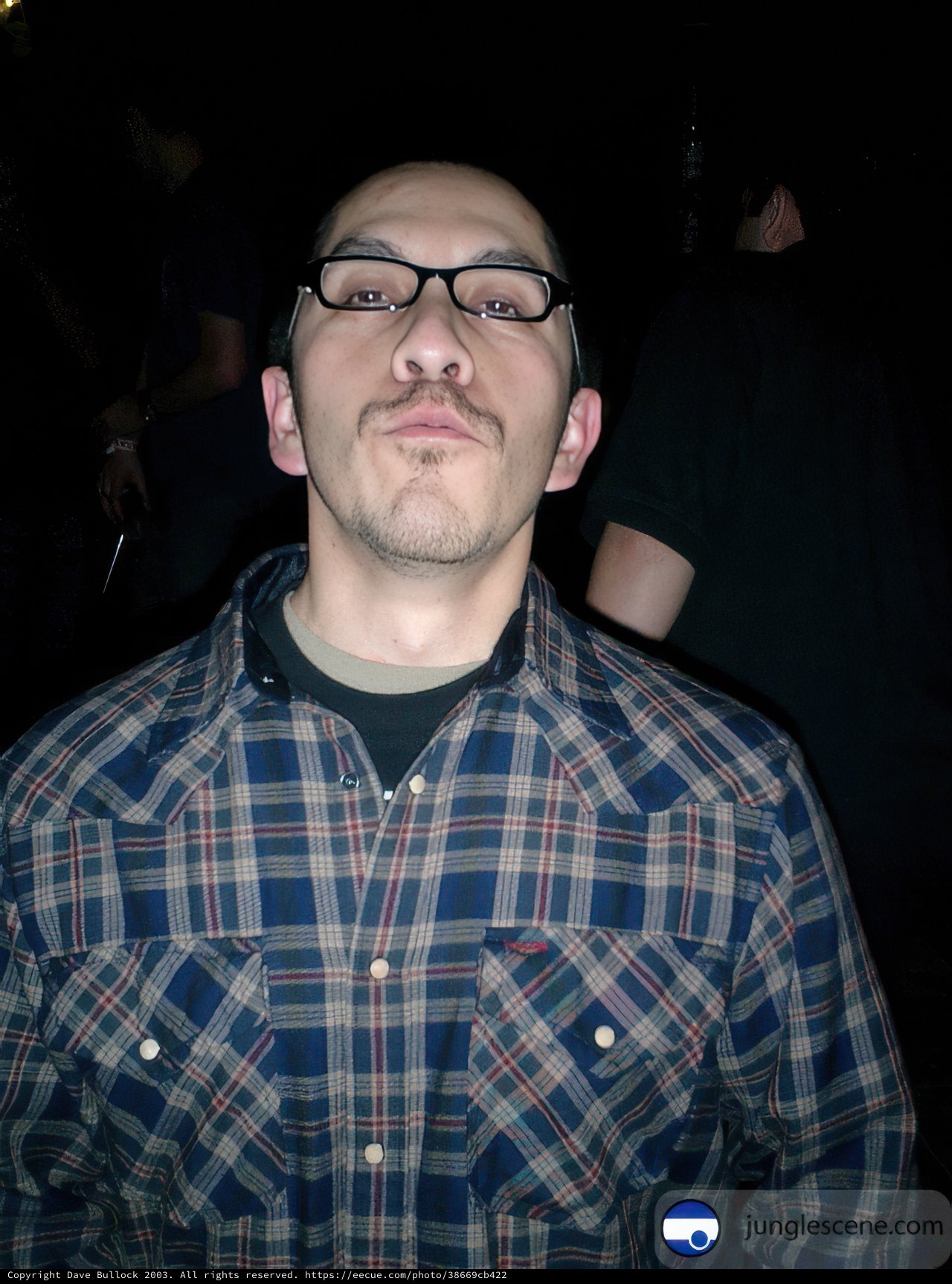 Gil M's Plaid-Out Portrait