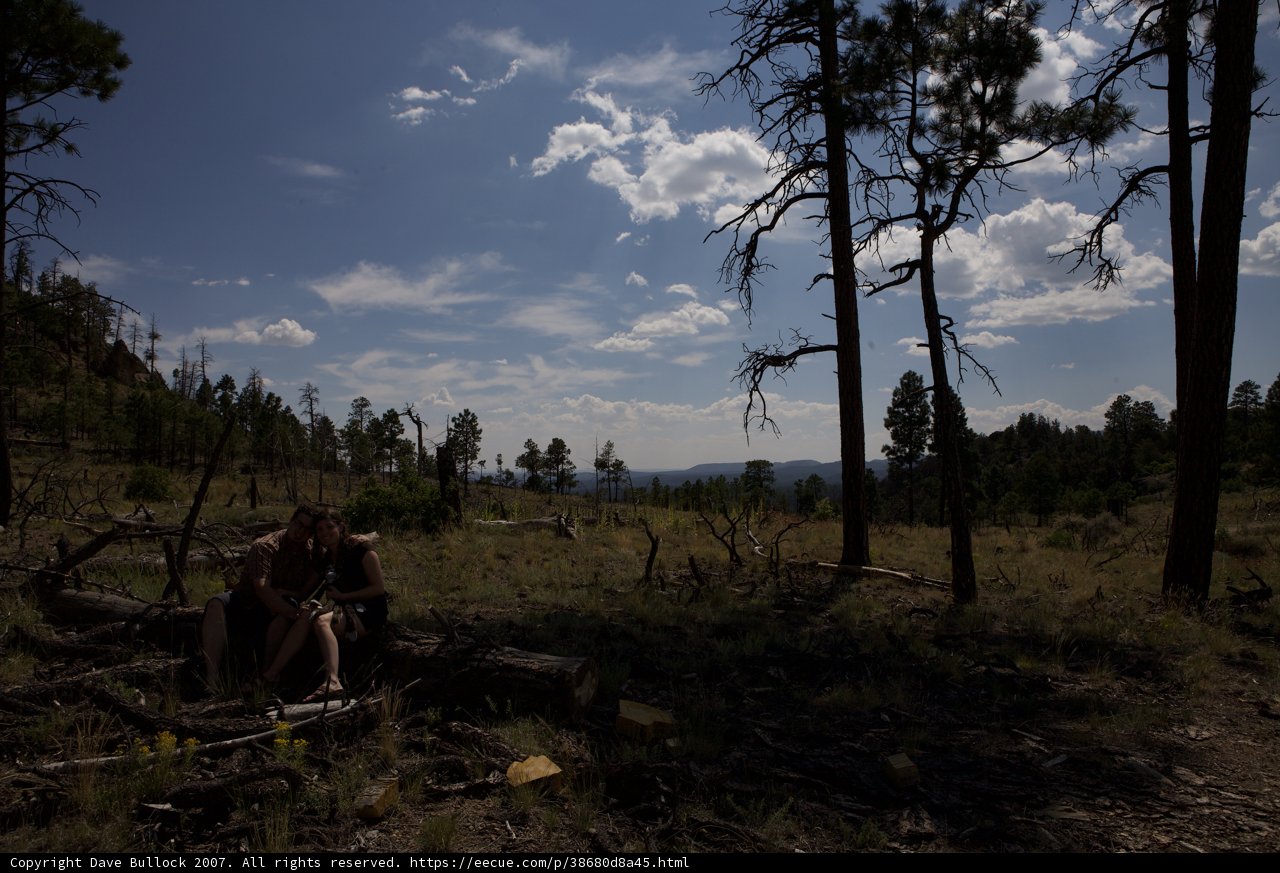 Wilderness Chat