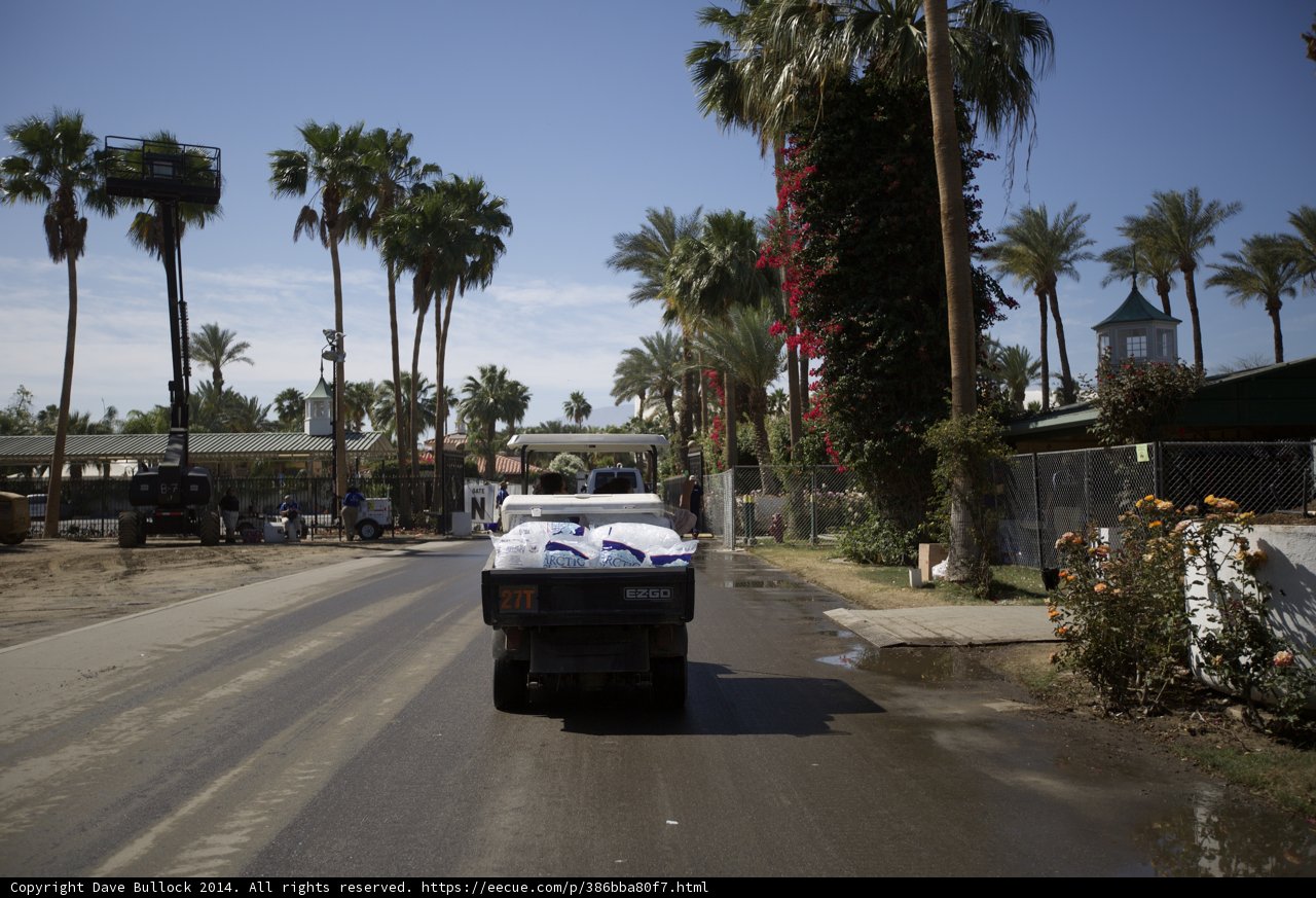 Palm Trees and a Truck on the Street