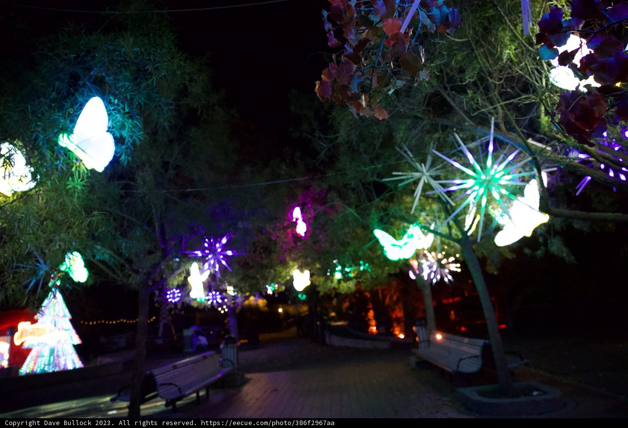 Enchanted Night at Glowfari Oakland Zoo