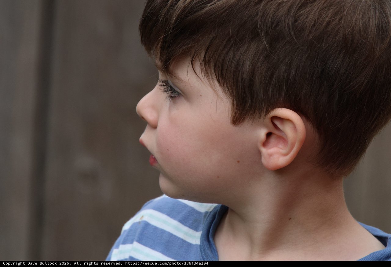 Profile Portrait of Young Boy in Striped Shirt