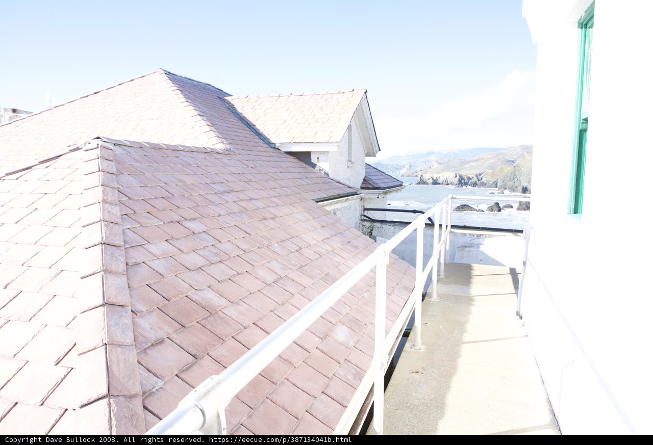 Roofscape: A View from Above