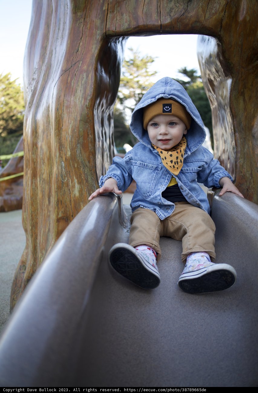 Playful Times at SF Zoo: Little Wesley's Adventure