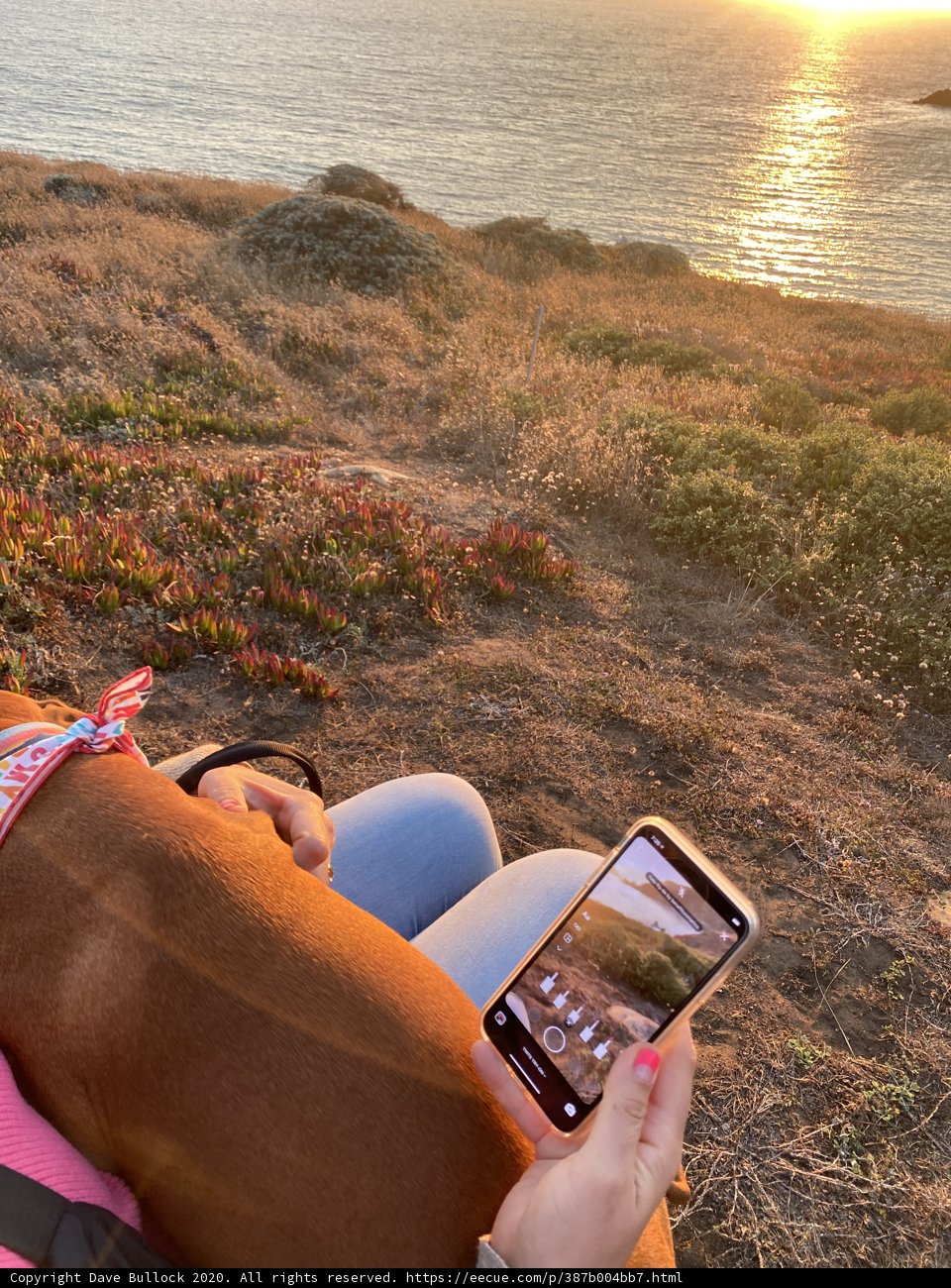 Serenity with My Best Friend