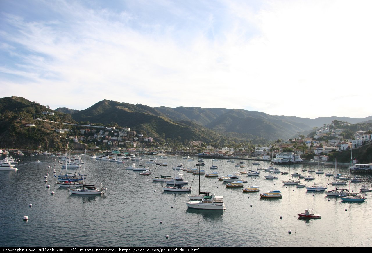 Serene Harbor View