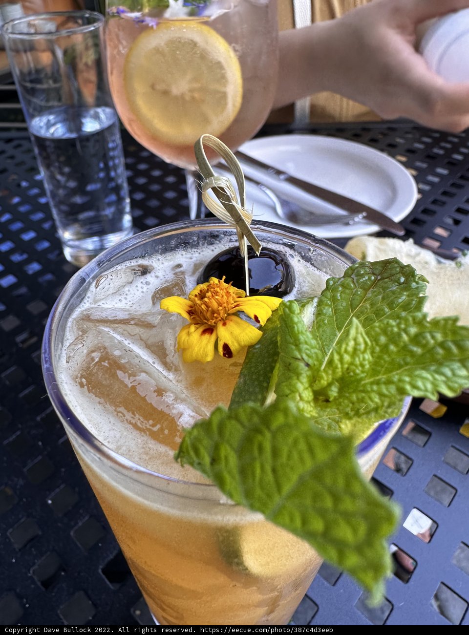 Refreshing Lemonade Mojito