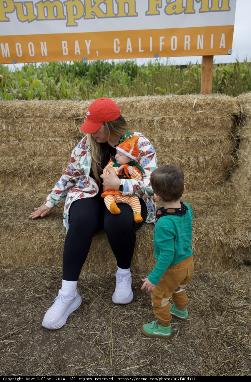 Harvest Joy at the Pumpkin Farm