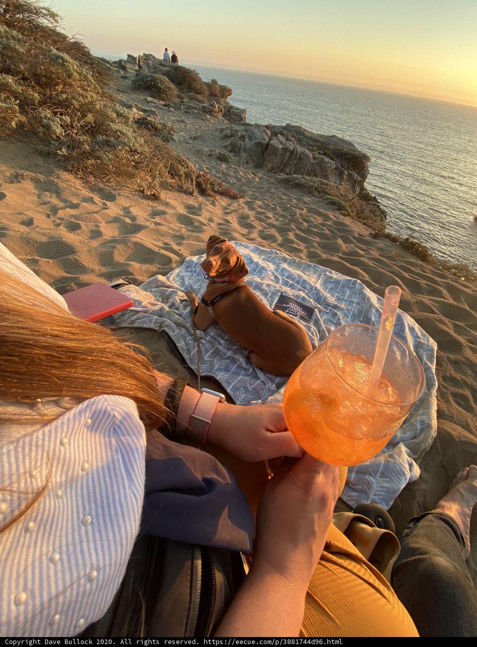 Beach lounging with my furry bestie