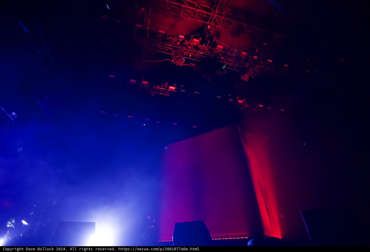 Lights and Sounds: Captivating Coachella Crowd