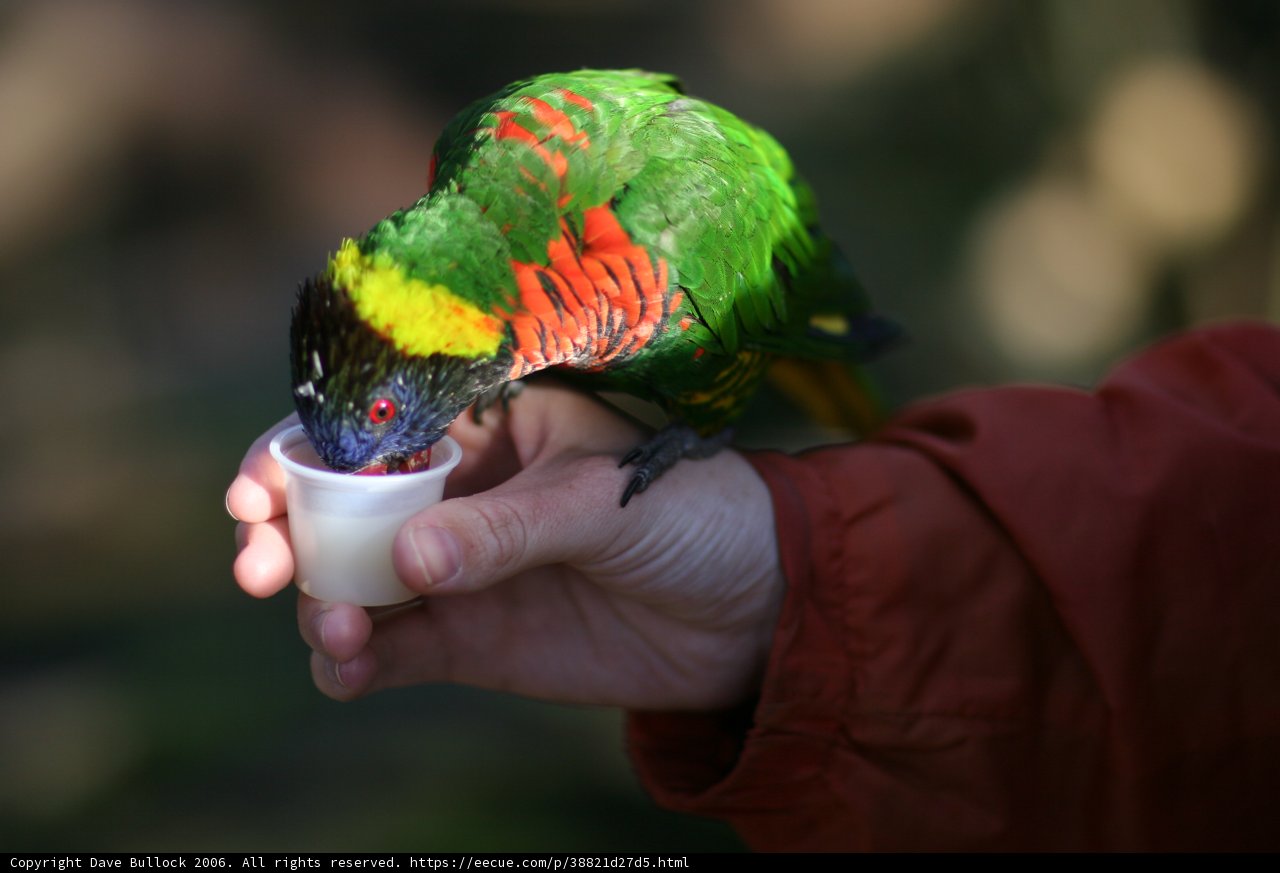 Offering Refreshment