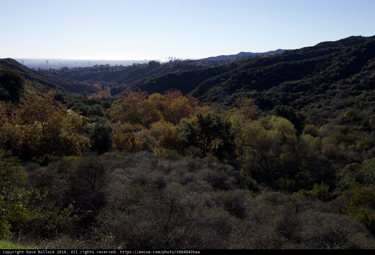 Serene View of the Hills and Trees