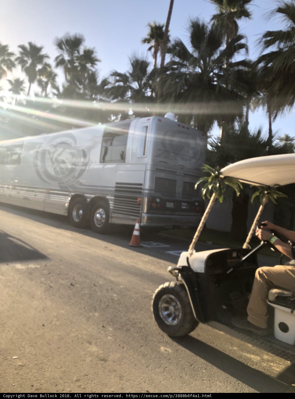 Cruise Through Paradise