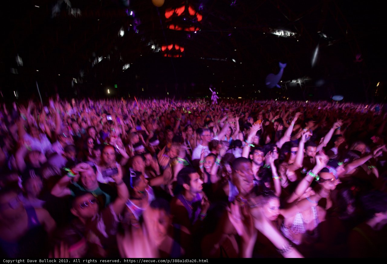 Energized Audience at Coachella Concert