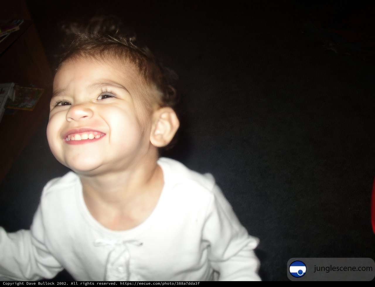 Joyful Child Portrait on Christmas Day