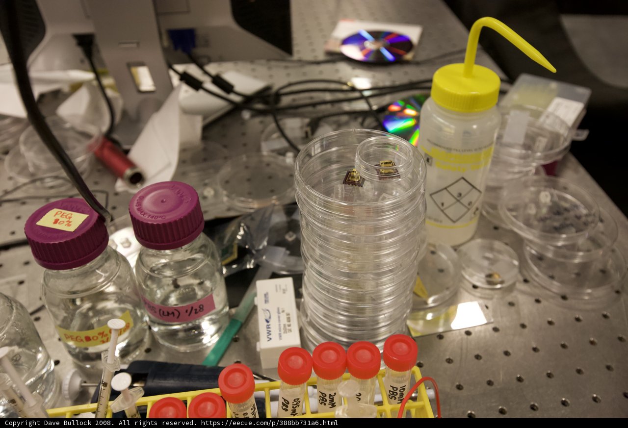 Laboratory Essentials