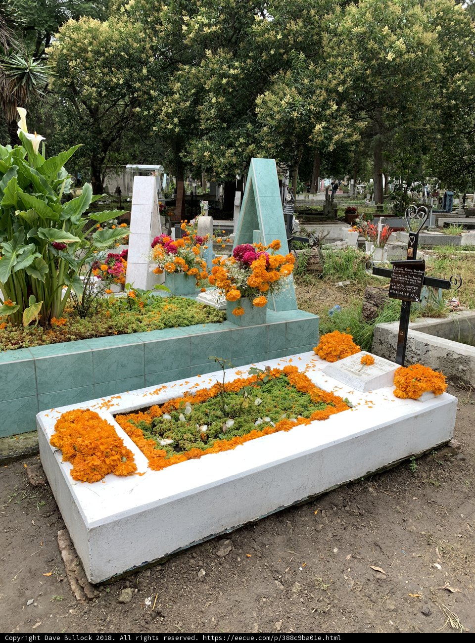 Remembering With Marigolds