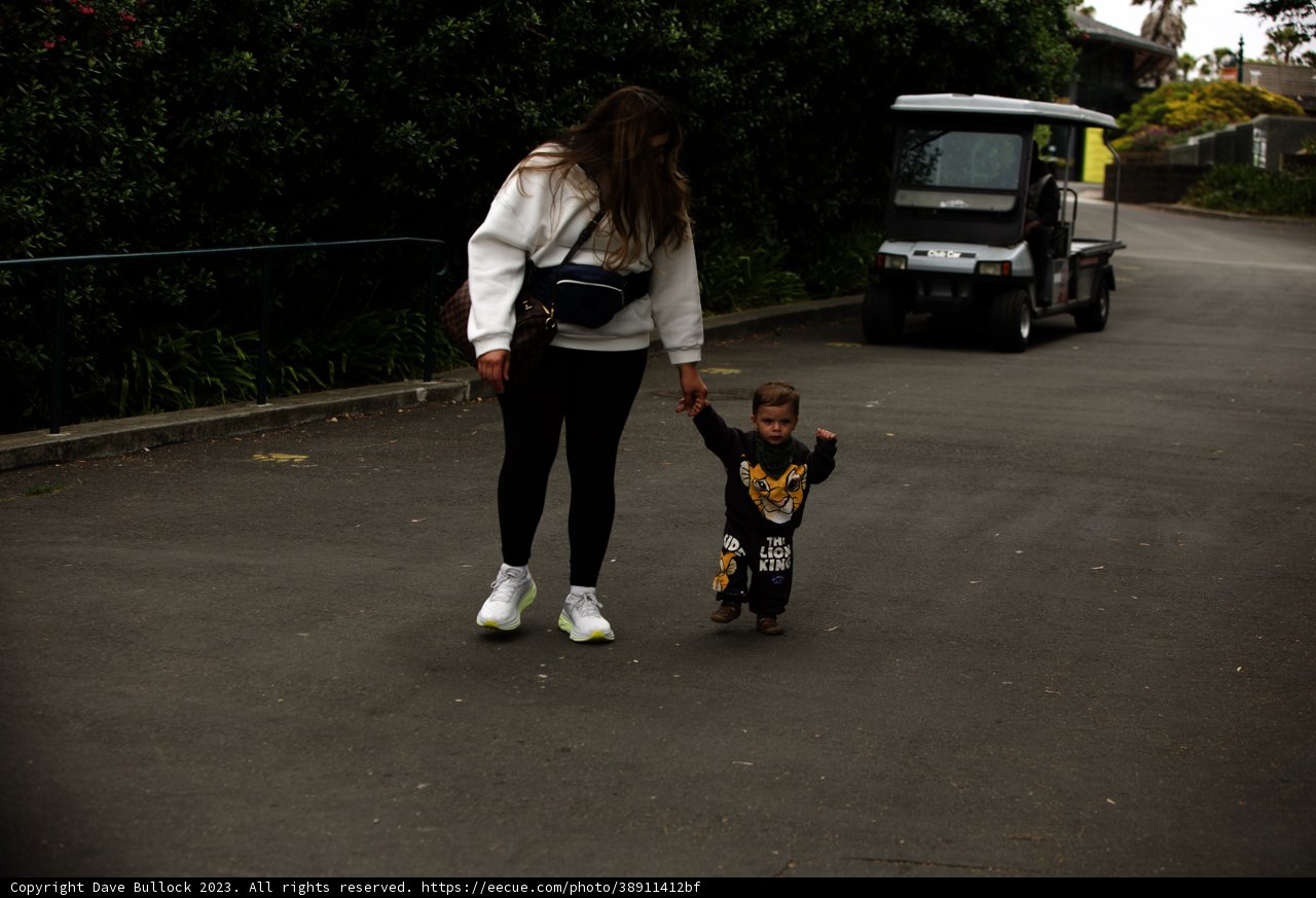 Urban Jungle Adventure