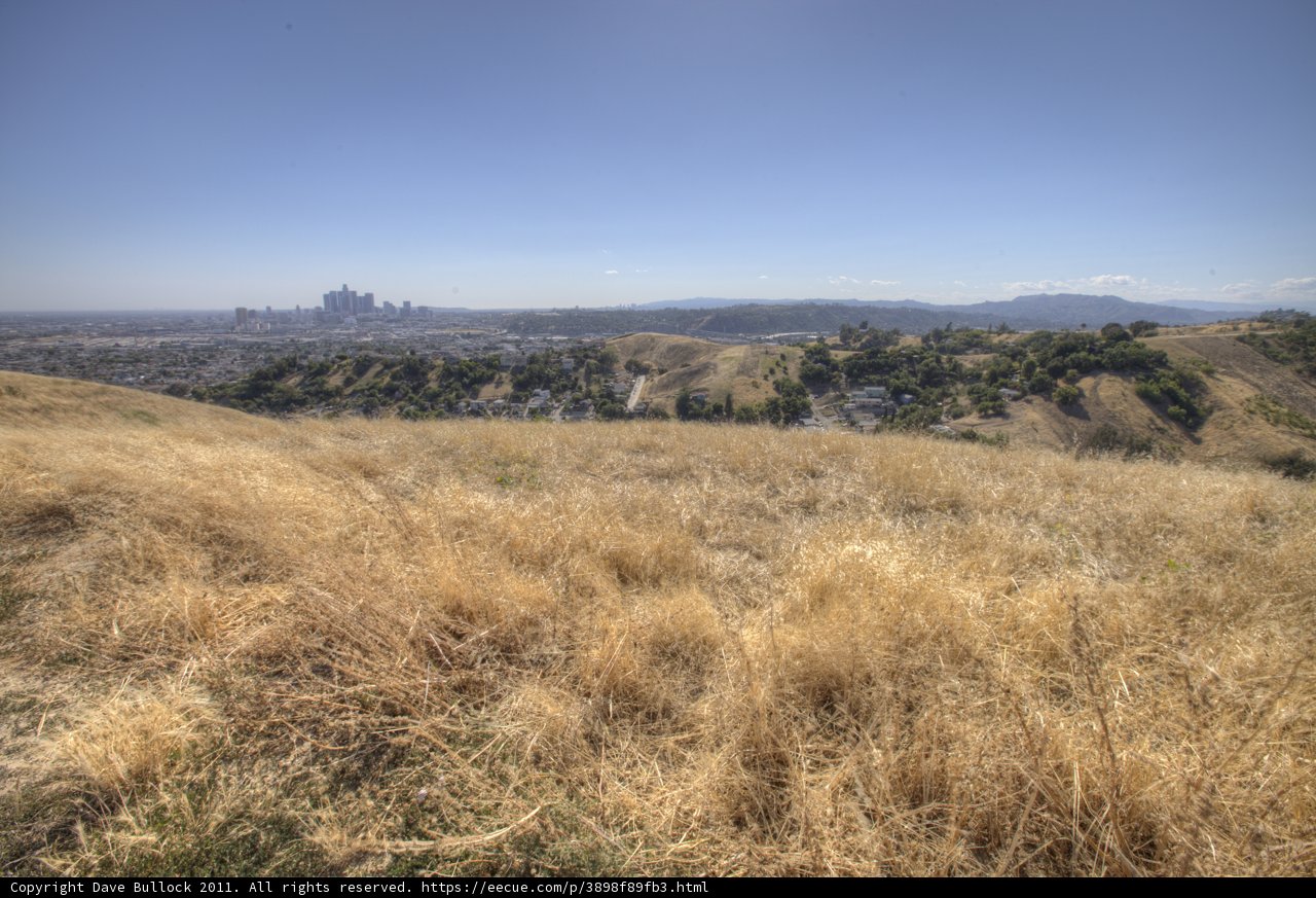 Serene City View from Grassy Hill