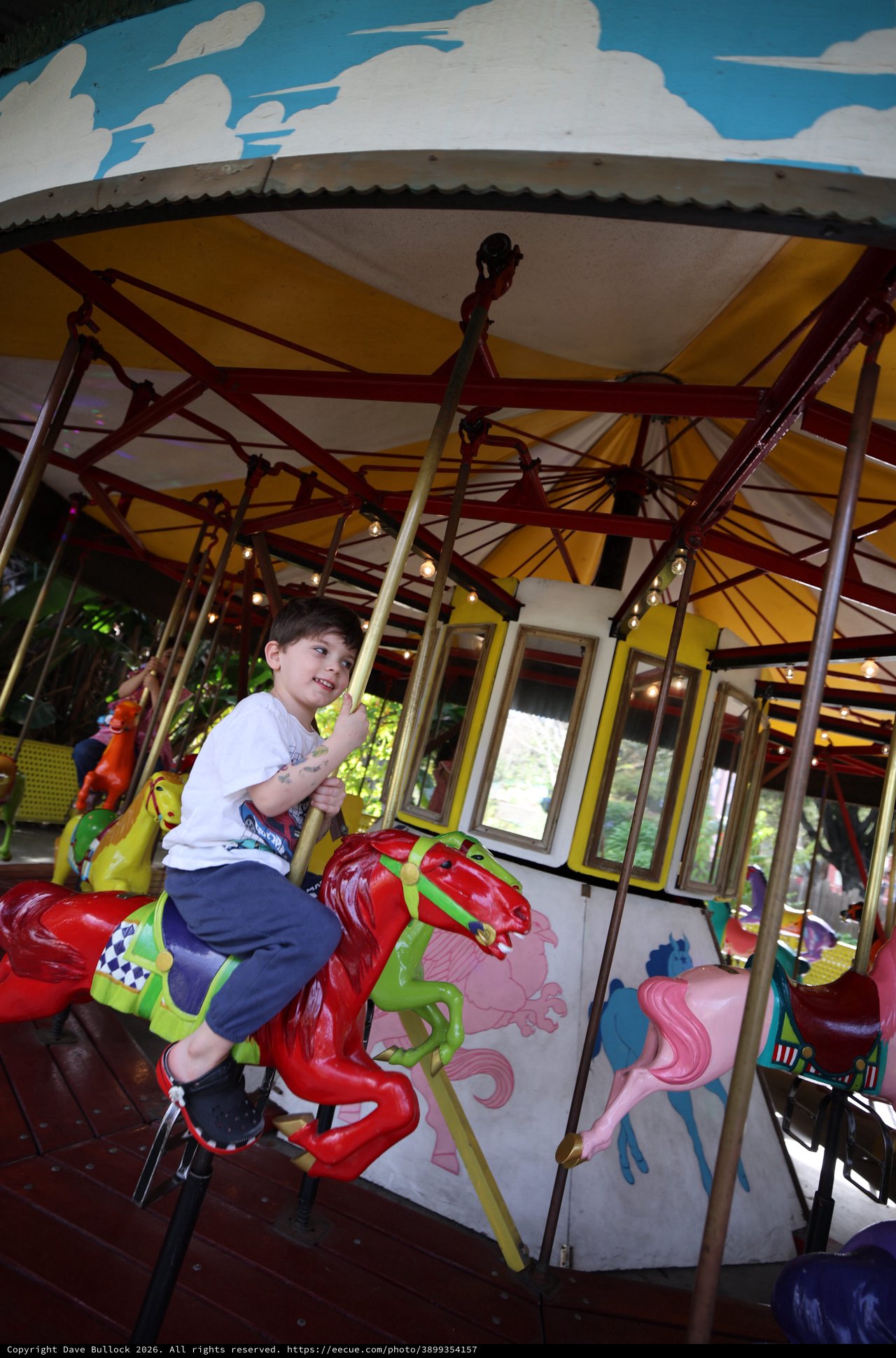Young Boy Enjoying a Carousel Ride in Fantasyland